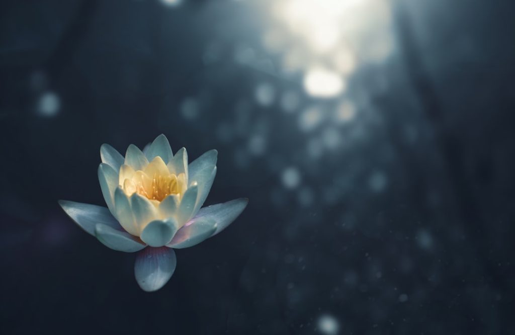 Photo 1 Meditation 2 Healing crystals