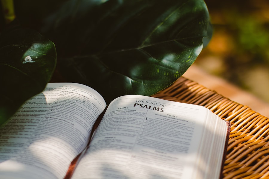 Photo Free reading question
