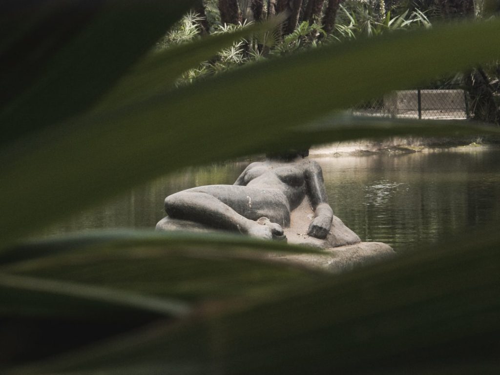 Photo Naked in public dreams