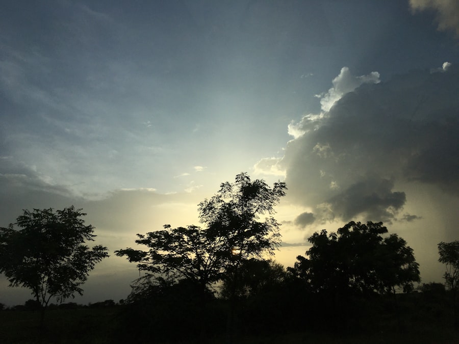 Photo Photo heavenly light
