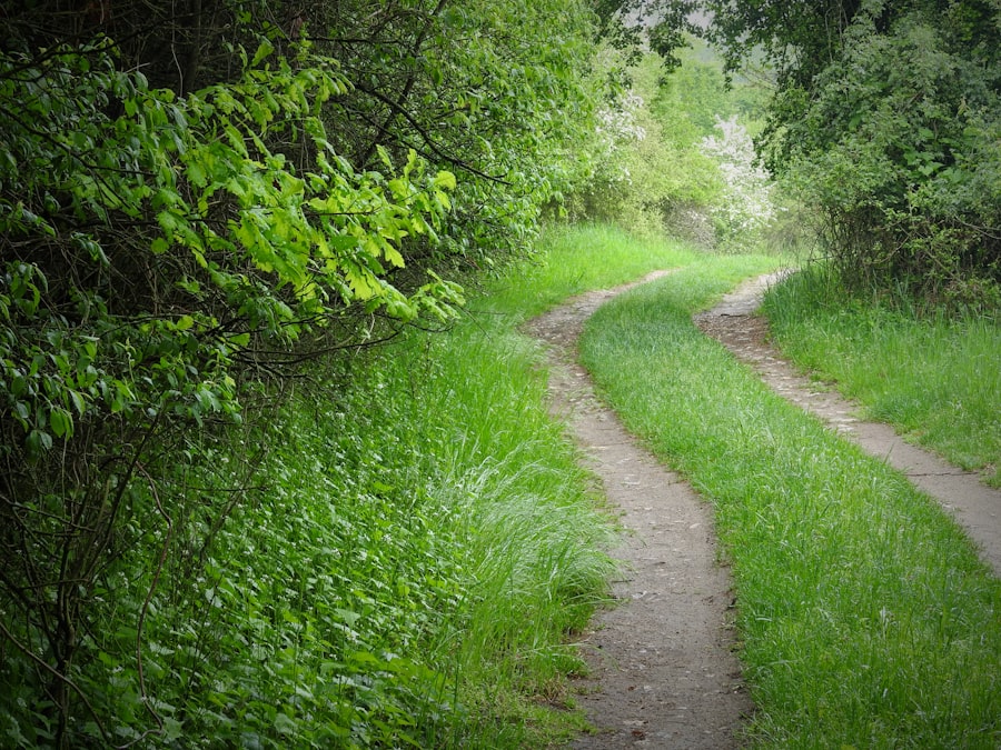 Age transformation pathway

