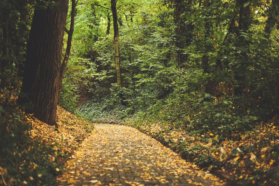 Photo Age transformation pathway
