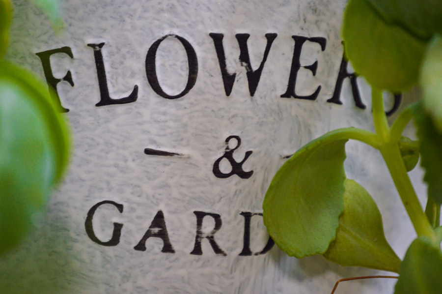 Photo deceased loved ones