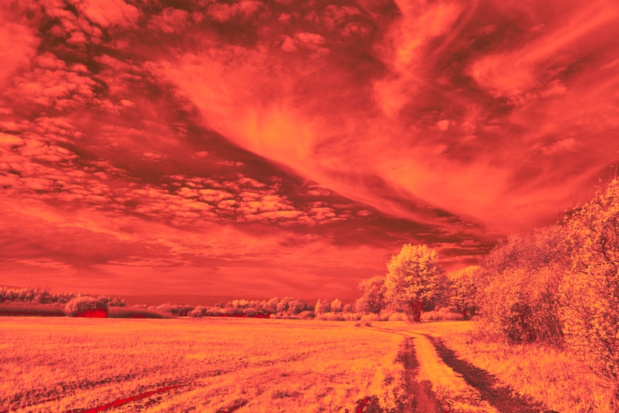 Apocalypse dreams meaning