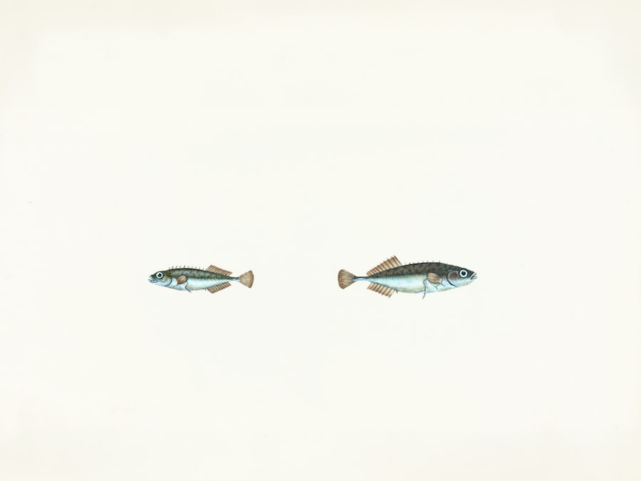 fish meaning