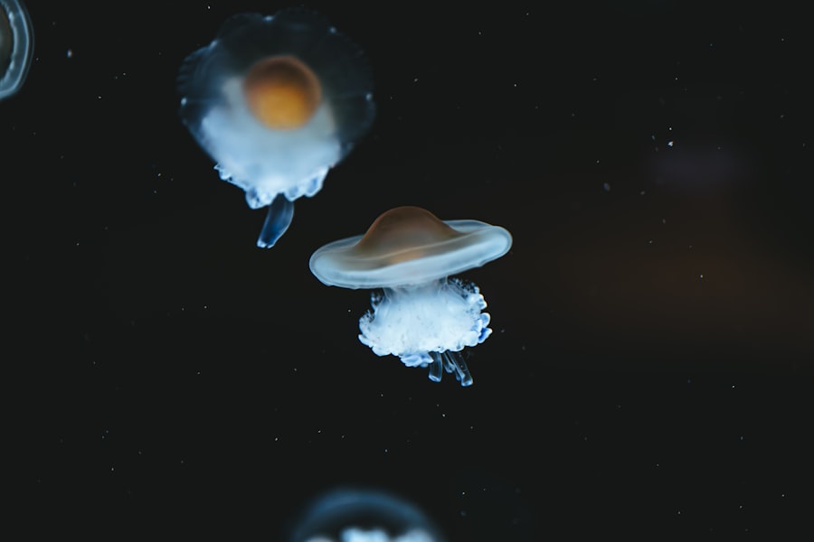 UFO and alien dreams