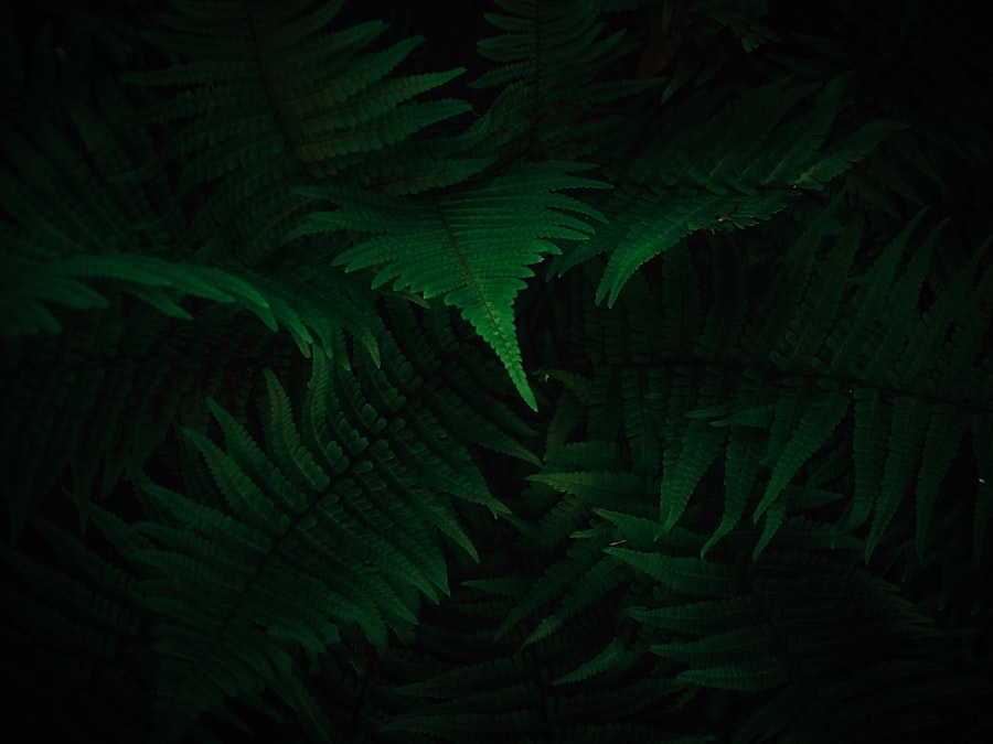 Green dreams meaning