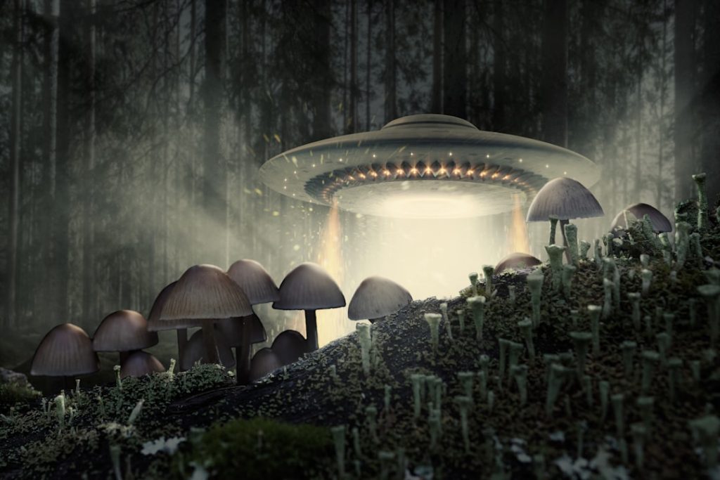 Photo UFO and alien dreams