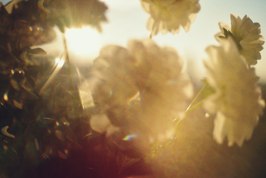 Garden dreams