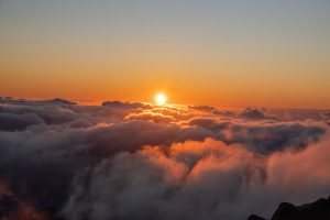 Photo dream meaning